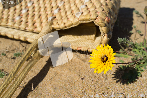 Image of Spring time