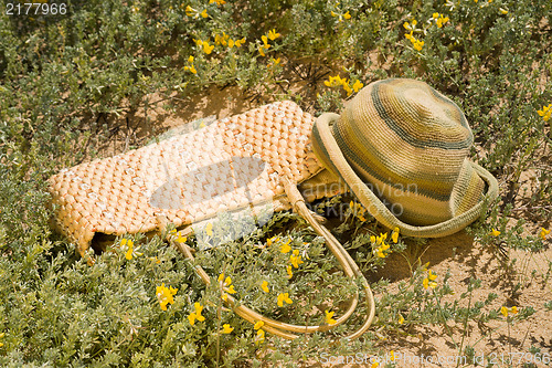 Image of Springtime