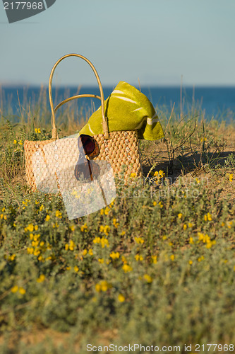 Image of Spring time