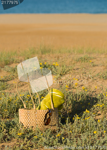 Image of Spring