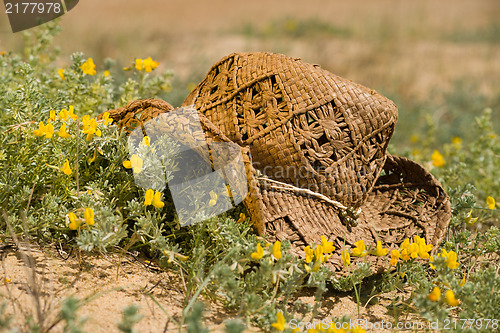 Image of The joy of spring