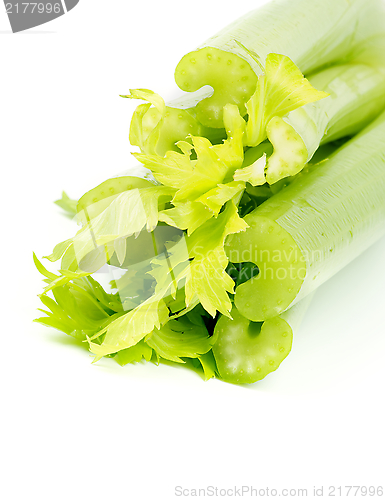 Image of Celery