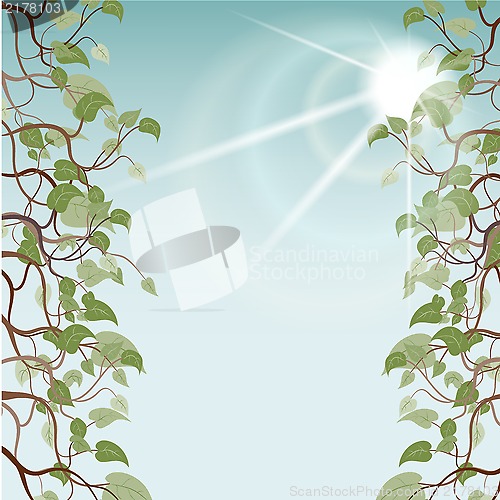 Image of leafs in sun rays, vector illustration