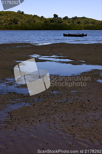 Image of nail tree boat sand lagoon