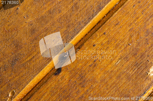 Image of uneven wooden lacquered background 