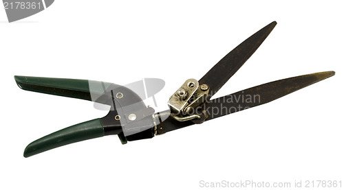 Image of garden hedge trimmers plastic tool isolated white 
