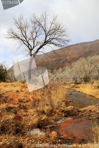 Image of At Jemez River New Mexico