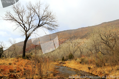 Image of At Jemez River New Mexico