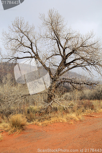 Image of At Jemez River New Mexico