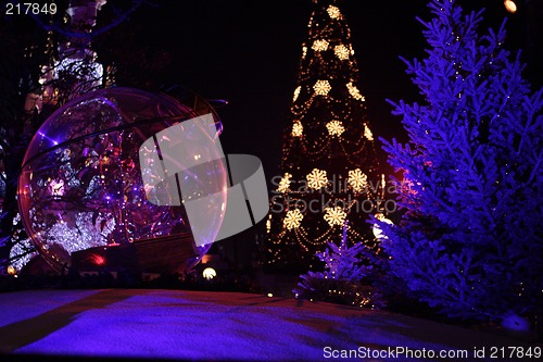 Image of Lit up christmas tree