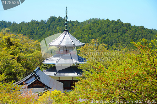 Image of Japan - Yoshino