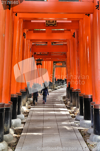 Image of Japan - Fushimi Inari