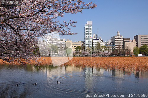 Image of Tokyo