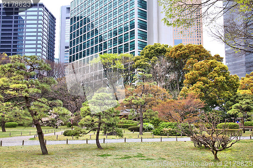 Image of Tokyo - Hama Rikyu