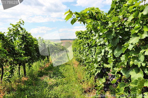 Image of Burgenland