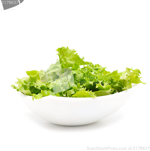 Image of lettuce