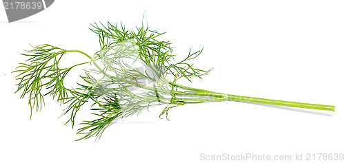 Image of green dill