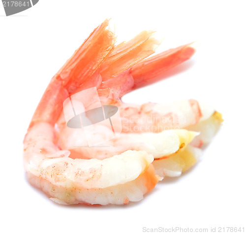 Image of shrimps