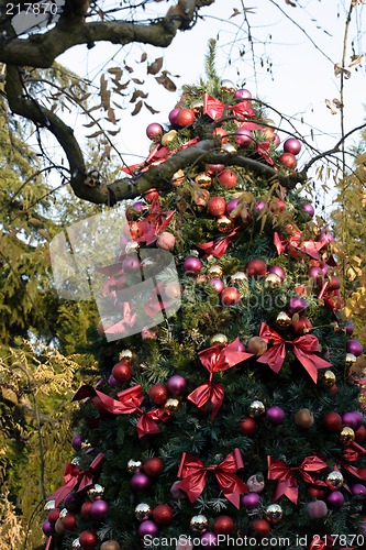 Image of Christmas tree