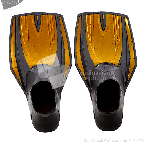 Image of Swim fins