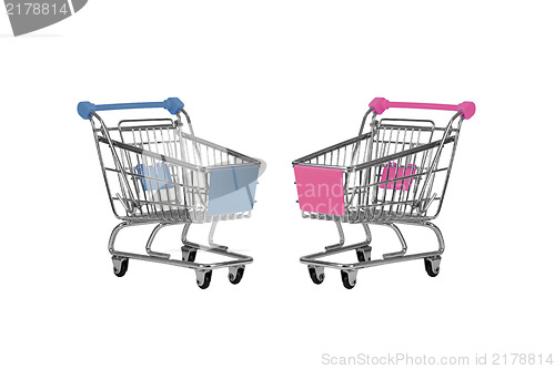 Image of Two shopping carts