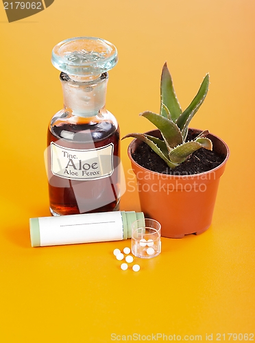 Image of Aloe Ferox plant, extract and homeopathic pills