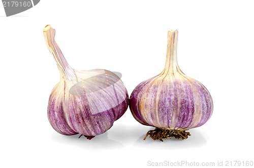 Image of Garlic whole