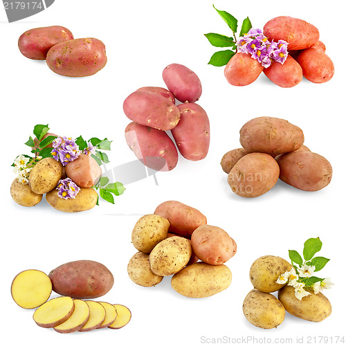 Image of Potatoes different set