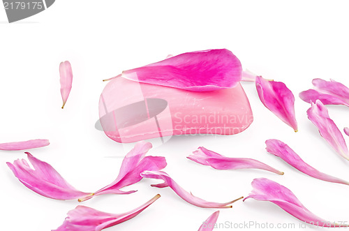 Image of Soap pink with peony petals