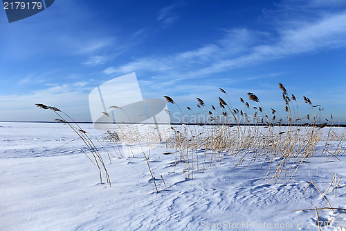 Image of winter beach