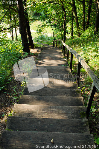 Image of old wooden stairs in forest 