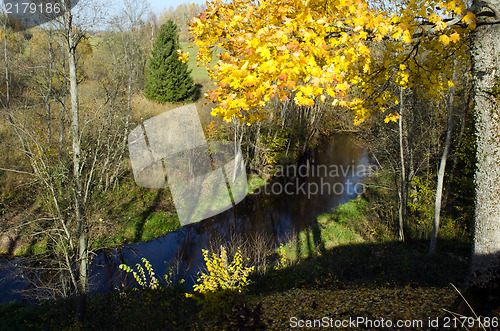 Image of autumn maple tree leaf river water flow downhill 