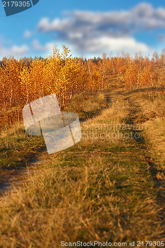 Image of path in the field