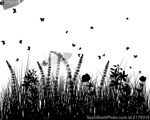 Image of Meadow background
