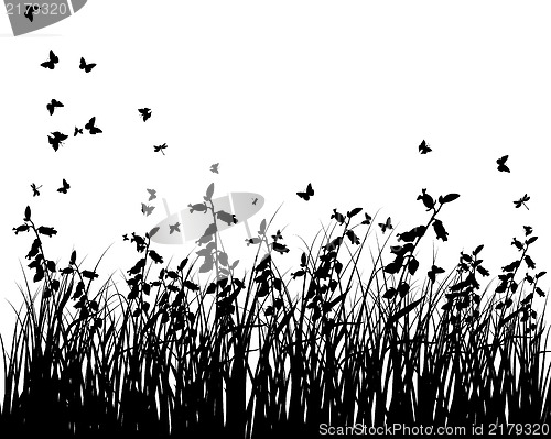 Image of Meadow background