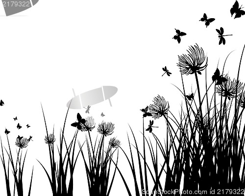 Image of Meadow background