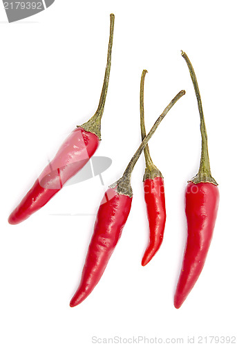 Image of Fresh red chilli