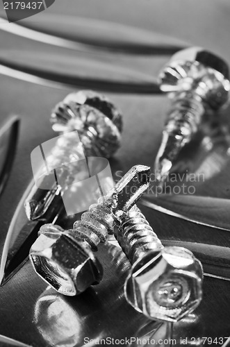 Image of screws for metal, close-up 