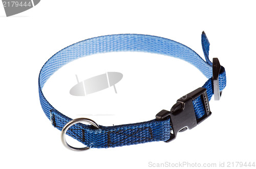 Image of blue collar for a small dog that is isolated on white