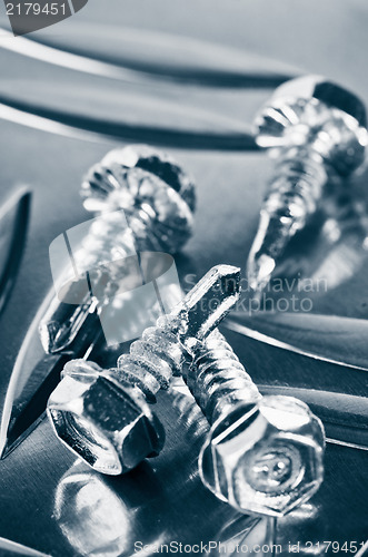 Image of screws for metal, close-up 