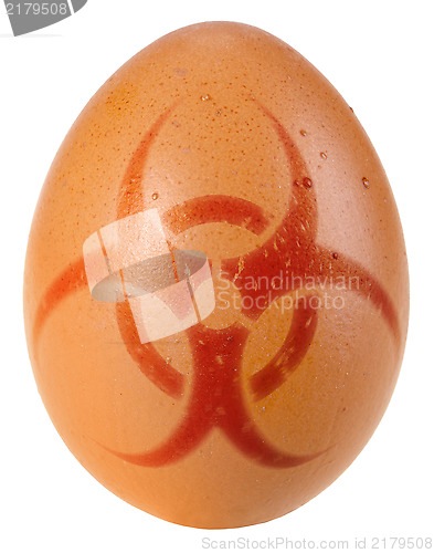 Image of Egg with biohazard warning sign