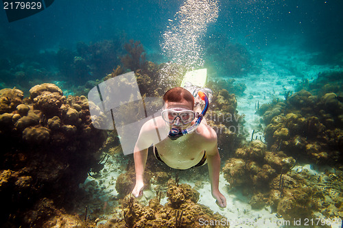 Image of Snorkeler