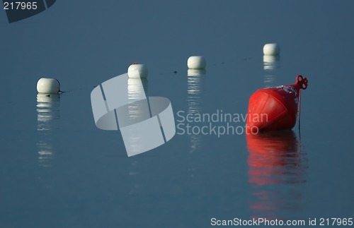 Image of Buoys