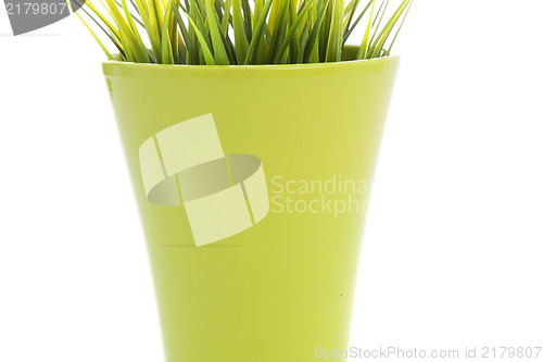 Image of Colourful flowerpot with green grass