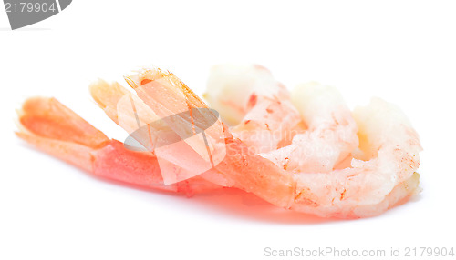 Image of shrimps