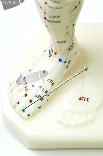 Image of acupuncture demonstration on model 