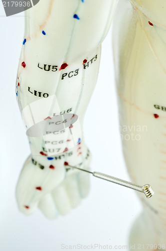 Image of acupuncture demonstration on model 