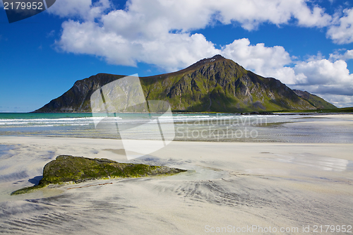 Image of Arctic beach