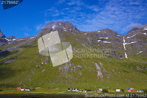 Image of Arctic in summer