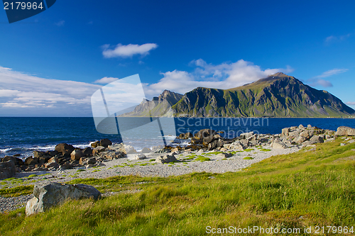 Image of Norway in summer